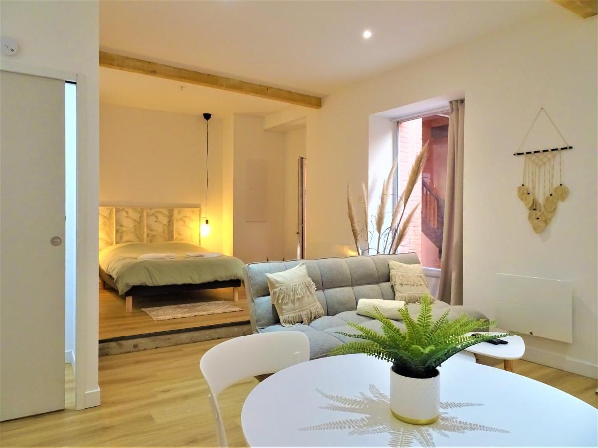 몽토방 Sublime Cocon Pour 2 Aux Portes De La Place Nationale - Proximite Immediate Toutes Commodites Et Sites D'Interets 아파트 외부 사진