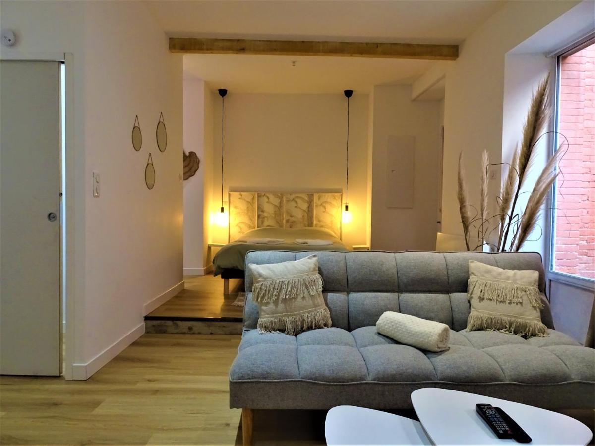 몽토방 Sublime Cocon Pour 2 Aux Portes De La Place Nationale - Proximite Immediate Toutes Commodites Et Sites D'Interets 아파트 외부 사진